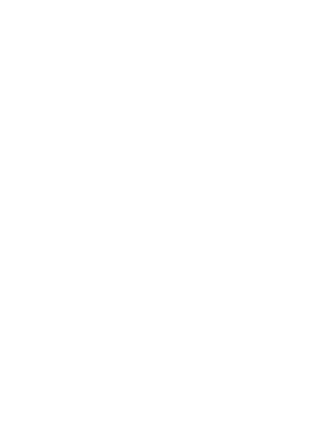 Marca GTO